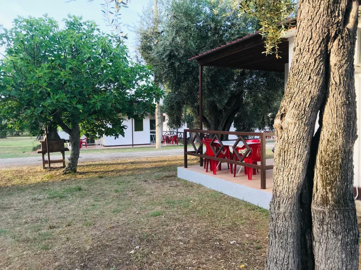 Funno Delle Noci Hotel Peschici Bagian luar foto