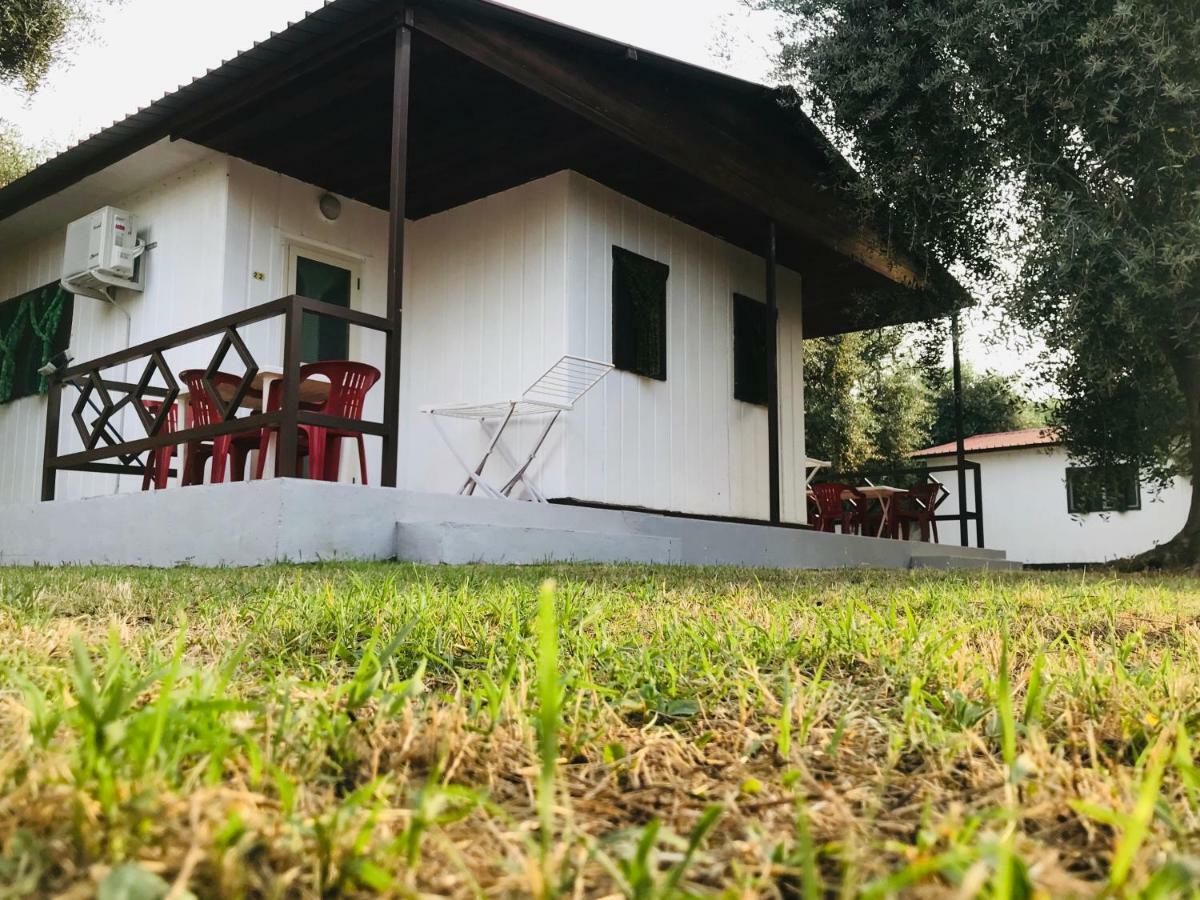 Funno Delle Noci Hotel Peschici Bagian luar foto